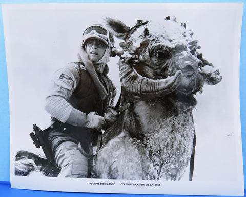 Press Still Photo Star Wars Empire Strikes Back - Luke Skywalker on Taun Taun close-up